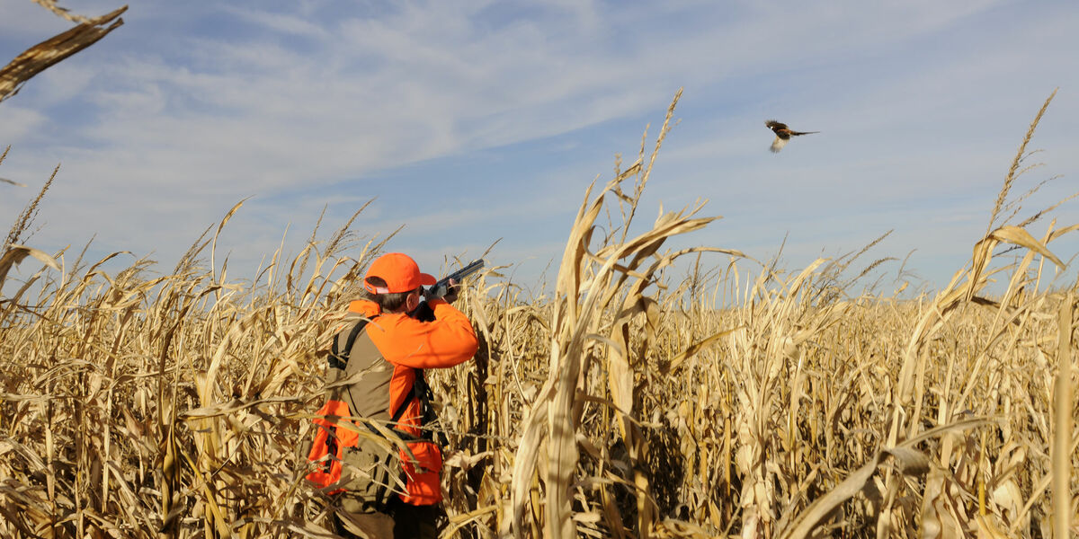 Home South Dakota Glacial Lakes and Prairies