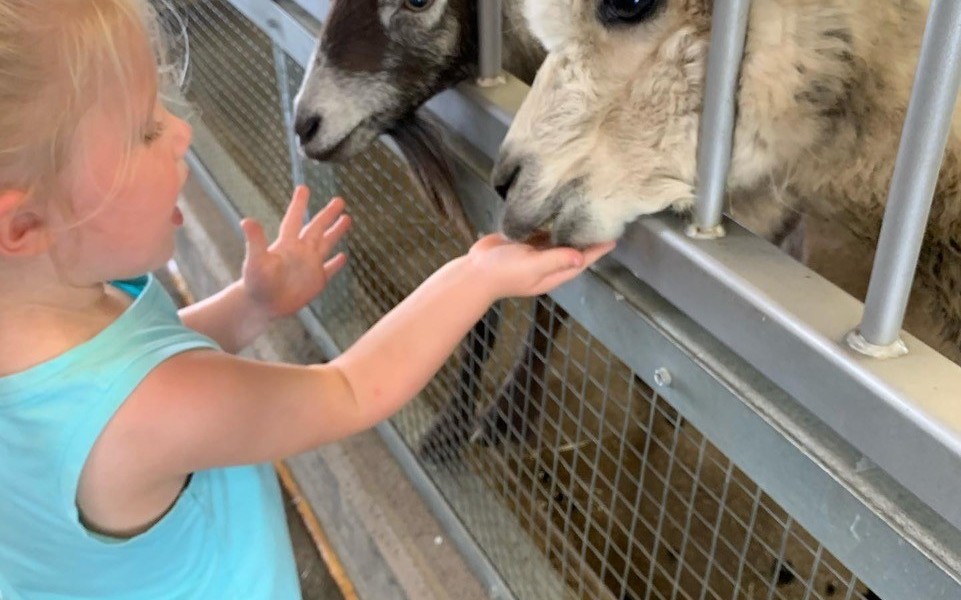Home South Dakota Glacial Lakes and Prairies