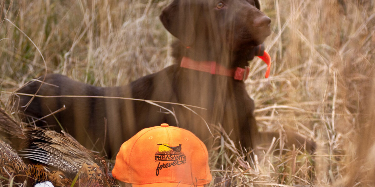 Home South Dakota Glacial Lakes and Prairies